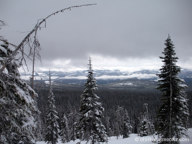 2010.04.07 1255p BigWhite